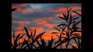 "Grégoire" Viens avec moi