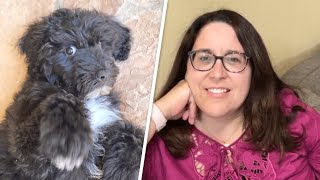 Dog uses smell to save her mom's life every day