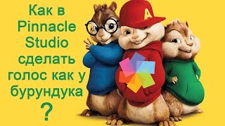 Как сделать голос как у бурундука? В Pinnacle Studio