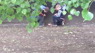 Дети жгут костёр