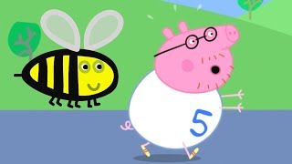 Peppa Pig Świnka Peppa po Polsku | Zabawny Bieg | Bajki Po Polsku
