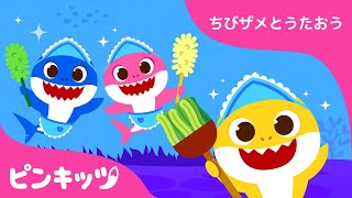 うみのおそうじ | サメのかぞく | ちびザメとうたおう | ピンキッツ童謡