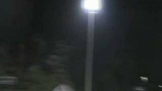T-REX 500 3D Flight Day 2