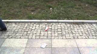 Trampling in street 1