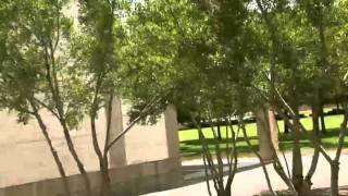 Living Classic: Louis Kahn's Kimbell Art Museum