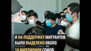 Истории мигрантов, которые не могут вернуться на родину из-за карантина