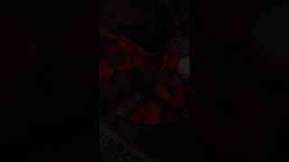 Ngintip saudara tidur