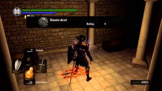 Dark Souls NG+ - Ch.17 (Quick Shit)