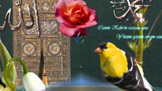 sallallahu ala muhammed sallallahu aleyke ahmet