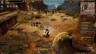 Black Desert BASHIM ROTATION