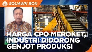 Harga CPO Meroket, Industri Sawit Didorong Genjot Produksi