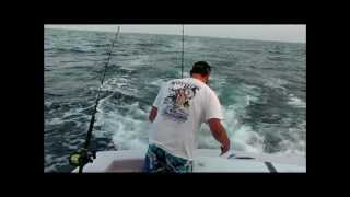 Muffdiver...Ocean City Maryland tuna fishing