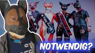 MR. PUPPY - Brauchen wir einen solchen Wettbewerb und Titel? | Nebaka (Reupload)