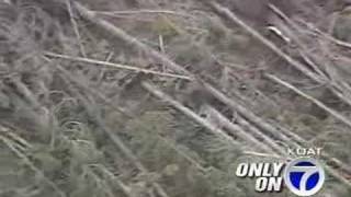 Santa Fe Forest Blowdown