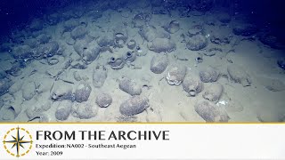 Ancient Amphora of Shipwreck Knidos A- 2009 | Nautilus Live