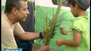 Shalom Sesame: Noam's Sukkot
