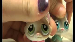 LPS:Blog 2