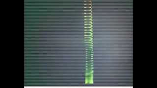 Slinky Vertical Slow Motion