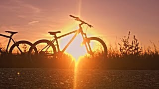 BIKE CHECK