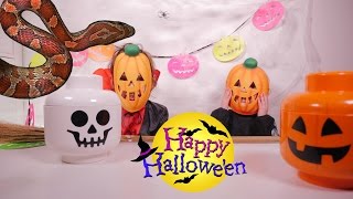 [JOUET] Special Halloween Surprises - Studio Bubble Tea unboxing Halloween stuff