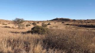 Von Kapstadt in die Kalahari