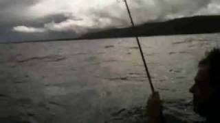 Curtain Artificial Reef Fishing - Moreton Bay - Queensland