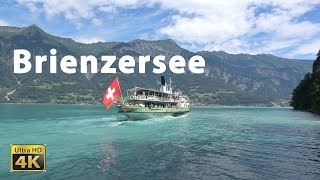 Unterwegs auf dem Brienzersee in 4K