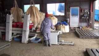 Rice sowing and planting 水稲ﾊｳｽ準備、種まき、田植まで