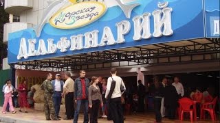 Лазаревский "Дельфинарий" по просьбе подписчиков моего канала, SOCHI RUSSIA