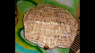 МК ШКАТУЛКА РАКУШКА