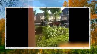 Бесплатно приколы видео 8