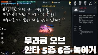리니지2M 무과금 오브 안타 5층 6층 몹 녹이기