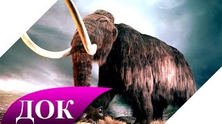 Ископаемые животные: Мамонт - воскрешение из мертвых. Документальный фильм