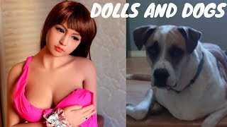 Dolls and Dogs (MGTOW)