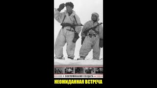 Что делать если советские и немецкие разведчики случайно встретились?