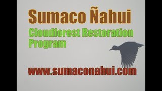 Waorani People Gathering in the Yasuni