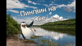 Лодка Пингвин + мотор Hidea 9.9(15) после зимы
