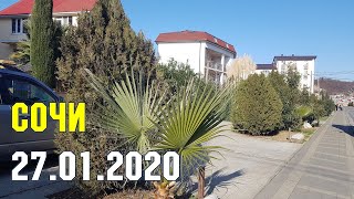 СОЧИ: 27 января 2020 |  Субтропический рай в отдельно взятом городе