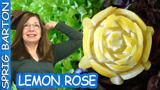Food Art 13: LEMON ROSE! Sprig Barton's Fruit and Vegetable Carving:Garnish
