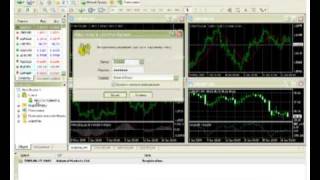 Admiral Мarkets - Видеоуроки по Forex - Урок 1