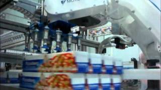 Motoman High speed Packing robot MH5