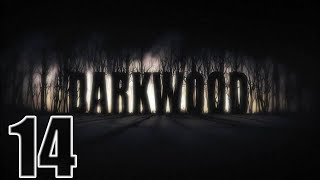 Прохождение Darkwood Серия 14 "Подвал Церкви"