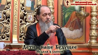 Неделя о слепом. Дети - наше Будущее (прот. Владимир Головин)