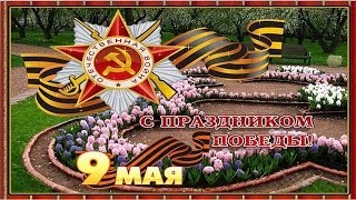 9 мая видео Поздравление с Днём ПОБЕДЫ