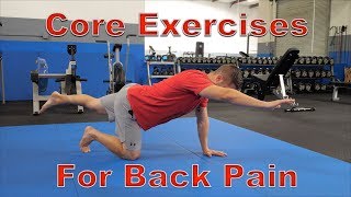 FIVE Best Core Exercises for Back Pain (Protects Spine!)