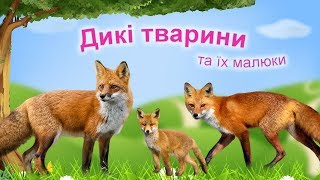 Дикі тварини. Тварини та їх дитинчата.  Тата, мами, малюки.