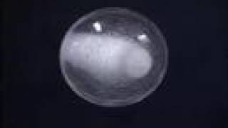 Rotating Sphere of Water in Microgravity
