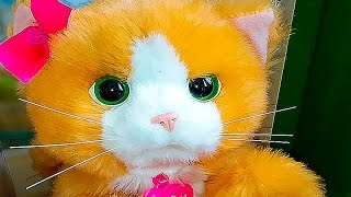 Кошечка Дэйзи распаковка игрушки гуляем с кошечкой играем с котиком Дэйзи FurReal Friends от Hasbro