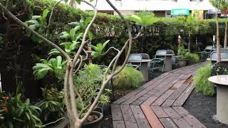 Mocha, Bodakdev: Cafe, eaterie, Lounge And an amazing ambience all rolled into 1