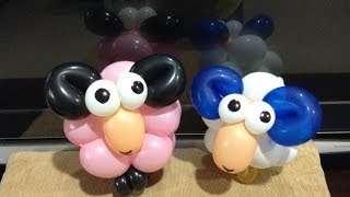 造型氣球 綿羊 折氣球 a sheep balloon twisting